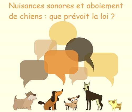 Loi sur nuisances sonores aboiement de chiens